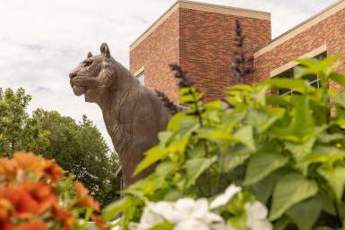 brass sculpture of tiger on doane campus